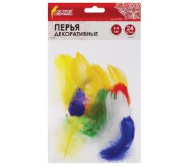 Перья для творчества