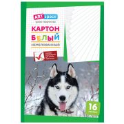 Картон белый А4 16л.,немелованный,  в папке