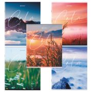 Тетрадь клетка А5 96 л. скоба, обложка картон, BRAUBERG «Calm» (микс в спайке)