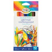 Карандаши цветные 12 цветов Гамма «Классические»,  заточен., картон, европодвес